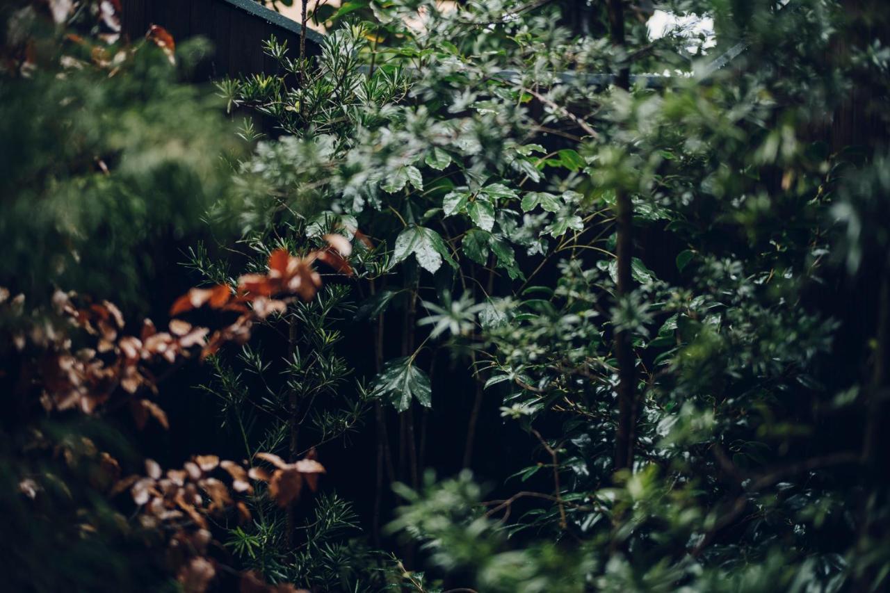 Noboru House Kyoto Villa ภายนอก รูปภาพ